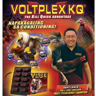 Voltplex KQ (1 hộp) dành cho gà chế độ đá ốp 3 ngày.