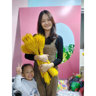 200 Bông Lúa Mạch Khô màu vàng sậm (2 bó)