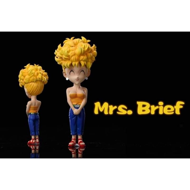 Mô hình resin wcf brief dragonball