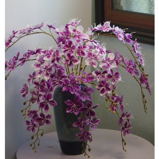  HAHOAFLOWER | Hoa Lan Hải Đường Decor Phòng Trang Trí Nhà Hoa Lụa Hoa Giả 