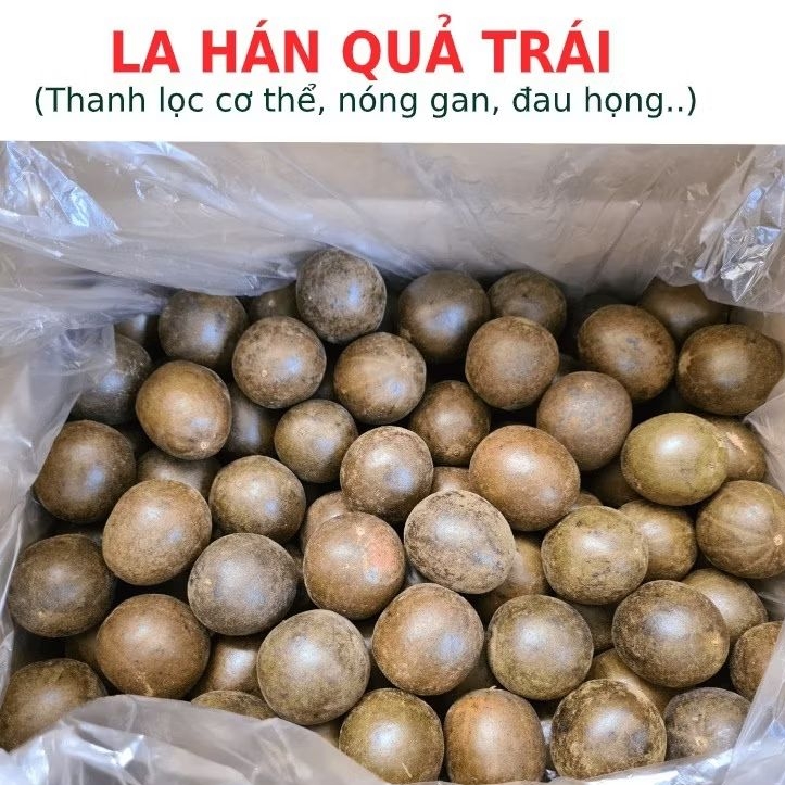 [50 trái] La Hán Quả Trái (nước sâm bí đao)