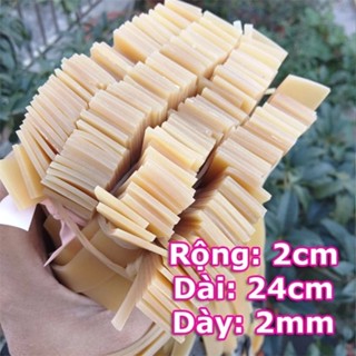 Dây thun ná cao su loại dày bản rộng 2cm dày 2mm dài 24cm