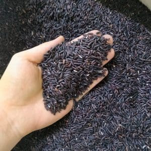   GIẢM CÂN  BAO 3KG GẠO LỨC ĐEN ĐIỆN BIÊN DẺO CƠM DỄ ĂN HỮU CƠ LOẠI NGON 