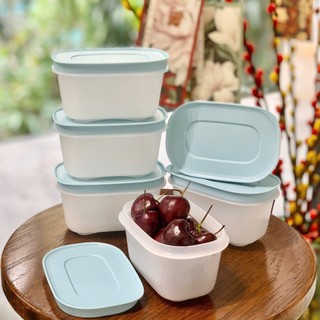  Hộp Trữ Đông Dẻo TUPPERWARE Mini Freezermate Gen II 170ML 6  Màu Ngẫu Nhiên  Hộp Lẻ Không Hộp  