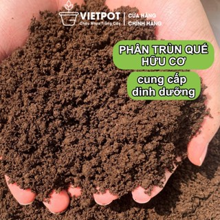 Phân Trùn Quế Cao Cấp Vietpot, hữu cơ, giúp cây phát triển, cho cây kiểng, hoa hồng, rau củ quả.