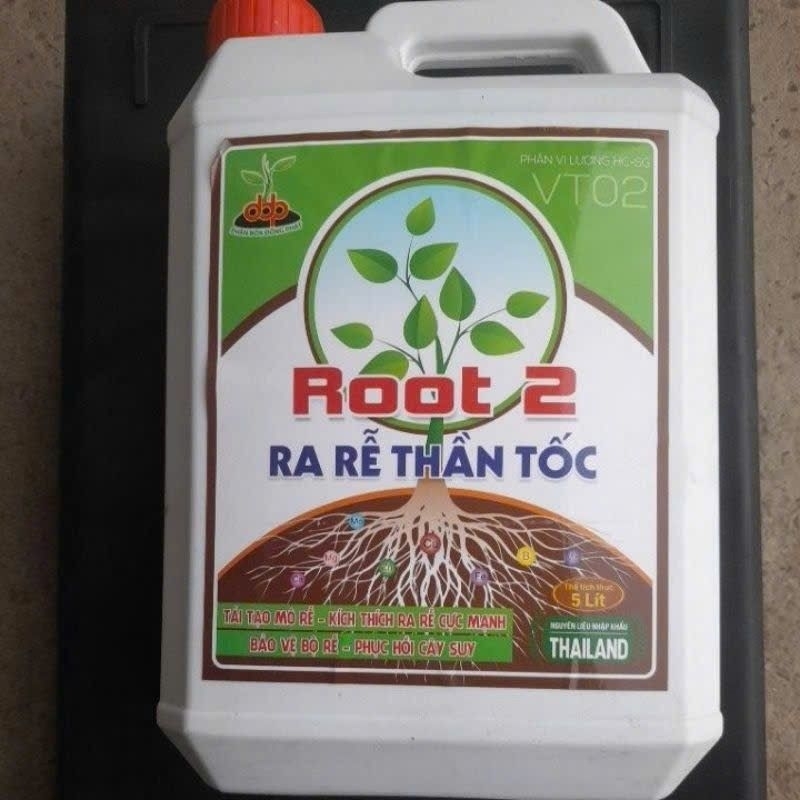 Phân bón vi lượng Root 2 (can 5 lít) ra rễ thần tốc Thailan tái tạo mô, phục hồi cây suy, siêu ra rễ