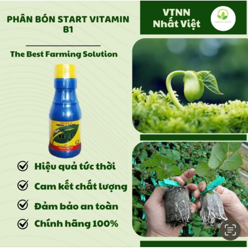 Phân bón START VITAMIN B 1 VTNN NHẤT VIỆT