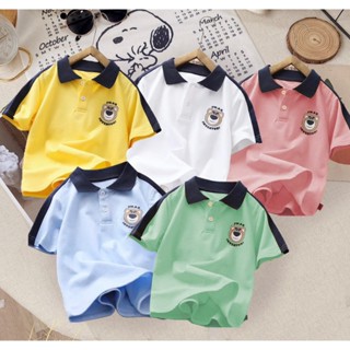   13-40kg  COMPO 2 ÁO POLO gấu phối màu đố tay cho cả bé trai và bé gái  chất liệu Cotton thoáng mát 