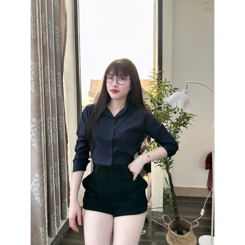 Áo sơ mi nữ tay dài thêu ngựa giấu cúc nhiều màu phong cách hàn quốc mã A22 | BigBuy360 - bigbuy360.vn