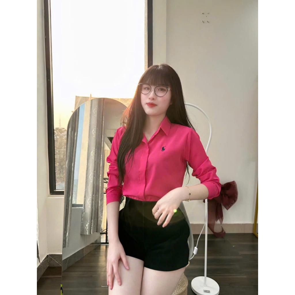 Áo sơ mi nữ tay dài thêu ngựa giấu cúc nhiều màu phong cách hàn quốc mã A22 | BigBuy360 - bigbuy360.vn