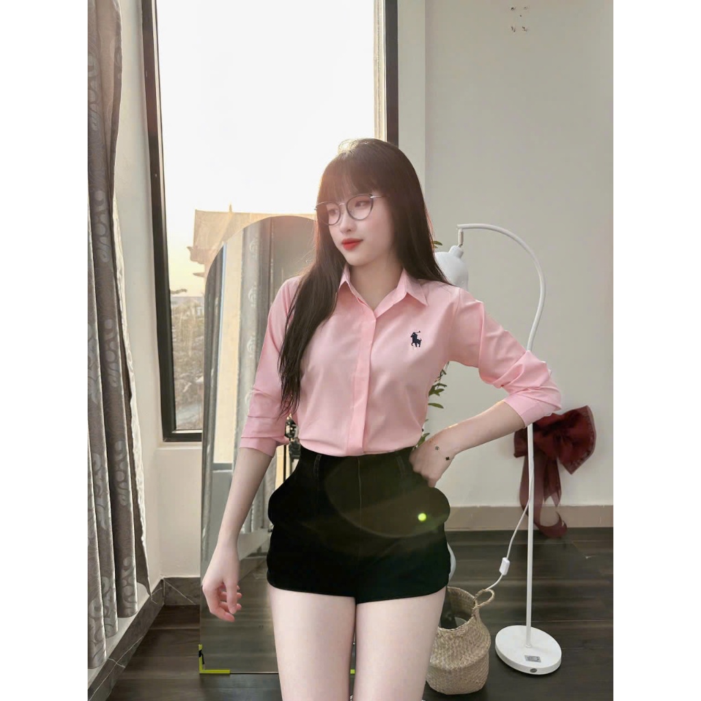 Áo sơ mi nữ tay dài thêu ngựa giấu cúc nhiều màu phong cách hàn quốc mã A22 | BigBuy360 - bigbuy360.vn