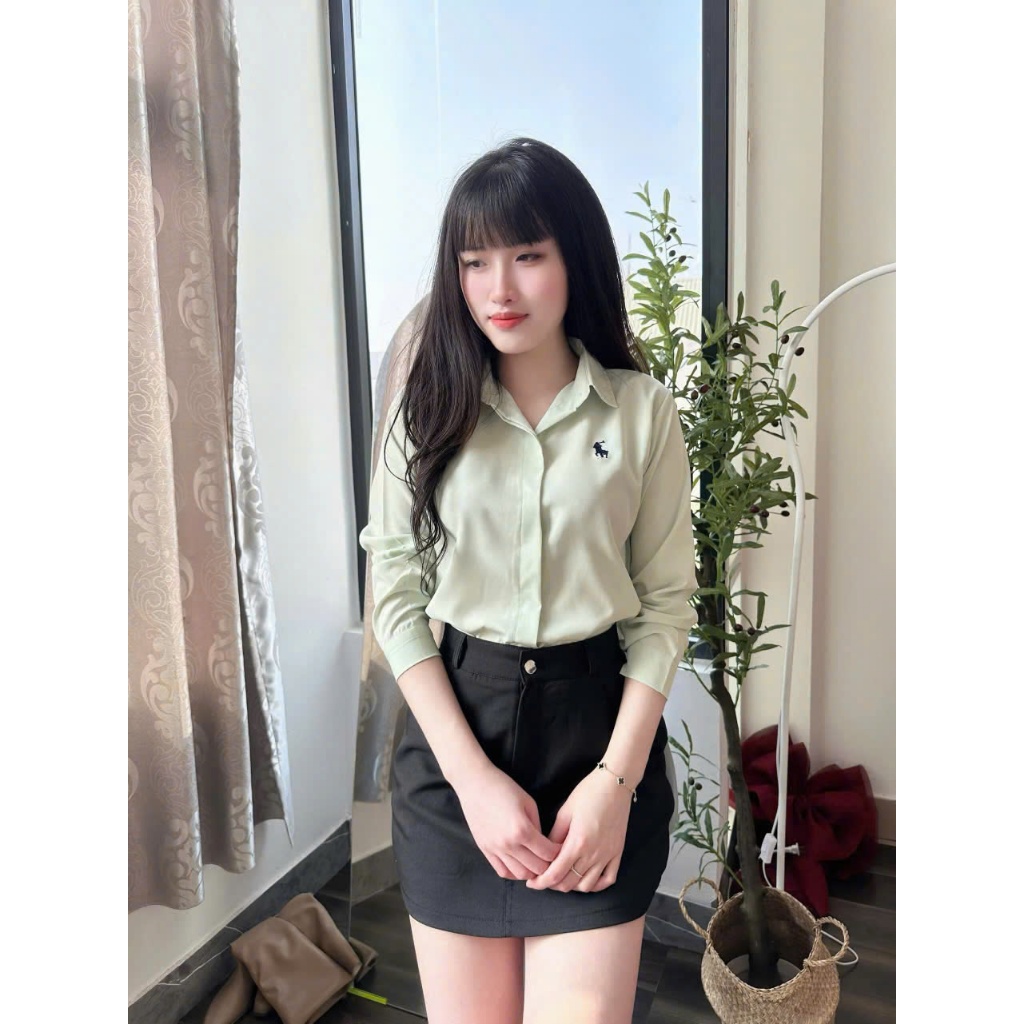 Áo sơ mi nữ tay dài thêu ngựa giấu cúc nhiều màu phong cách hàn quốc mã A22 | BigBuy360 - bigbuy360.vn
