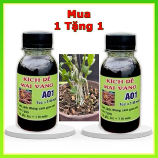 [ Mua 1 Tặng 1 ] kích dễ mai vàng A01, phân bón kích dễ mạng mạnh cho cây trồng, giâm cành, chiết cành, chai 100ml