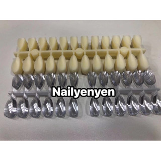 Móng mẫu tròn nhọn hạt na bich 240 móng