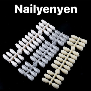 Móng mẫu form tròn bầu 240 móng