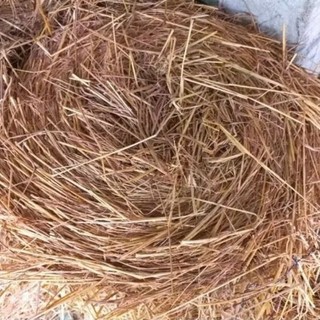 (5kg ) Rơm Rạ Khô Dùng Che Phủ Đất, Giữ Ẩm, Cải Tạo Đất, Tổ Chim Trang Trí