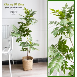 Cây giả, Cây Tử Đằng lá Xanh trang trí nhà cửa