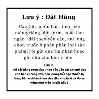 NailBox móng úp thiết kế sẵn Mẫu Mix Beo