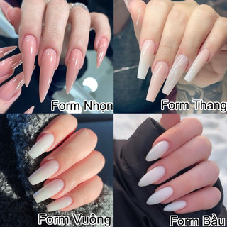 NailBox móng úp thiết kế sẵn Mẫu Mix Beo