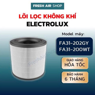 Lõi Lọc Không Khí Electrolux FA31-202GY, FA31-200WWT, bộ lọc không khí Electrolux, màng lọc không khí Electrolux