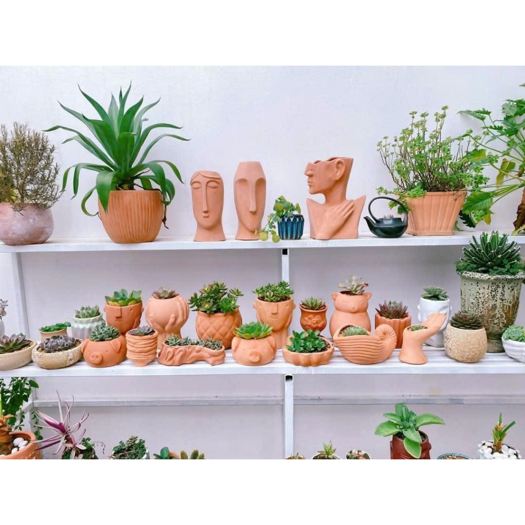 Chậu đất nung hình con vật trồng sen đá, xương rồng, chậu cây xinh gốm Bát Tràng | Living Decor