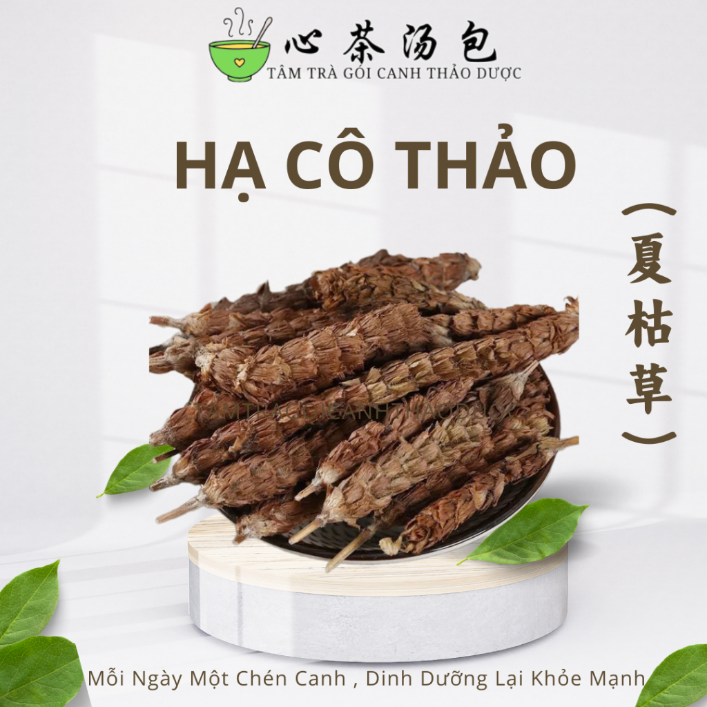 Hạ Cô thảo (Hà Cô Thảo) -Tâm Trà Gói Canh Thảo Dược