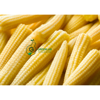 Hương bắp non (Corn Fragrance) Greenlab - 5ml / 10ml - Nguyên liệu mỹ phẩm