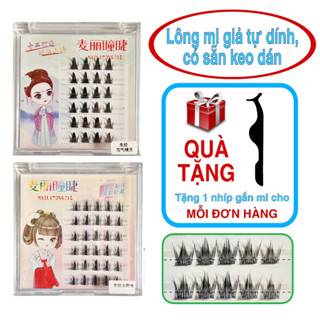 Lông mi giả Thần Tiên Tỷ Tỷ loại tự dính, có sẵn keo dán, tái sử dụng nhiều lần (dụng cụ nối mi)