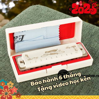 Kèn harmonica 10 lỗ DIATONIC EASTTOP T008L màu trắng - TONE C