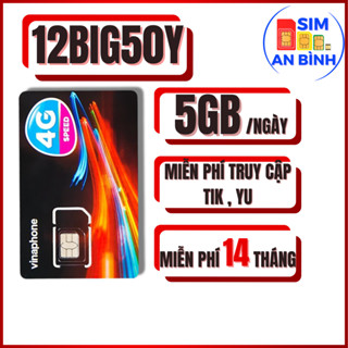 Sim 4G Vinaphone D500 , 12D49P , 12TD49, 12BIG50Y , 12D159V , U1500 CÓ 500GB/THÁNG - MIỄN PHÍ 12T - SIM AN BÌNH