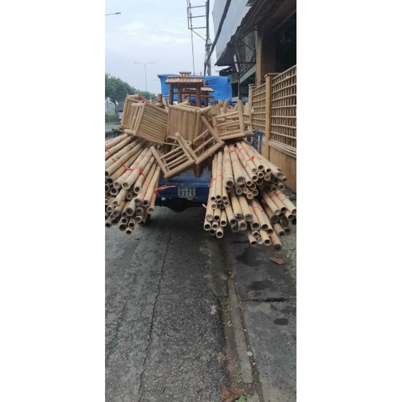 cây trúc dài 2m bó 10 cây