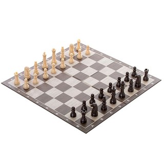 Trò Chơi Cờ Vua SPIN MASTER GAMES 6038140