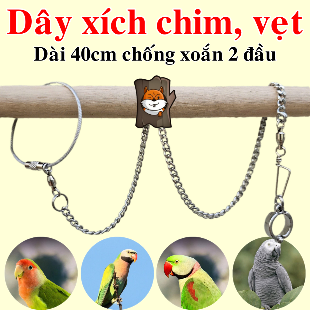 [DÀI 40CM] Dây Xích Vòng Chân Cho Chim, Vẹt, Két,... Inox Có Chống Xoắn 2 Đầu