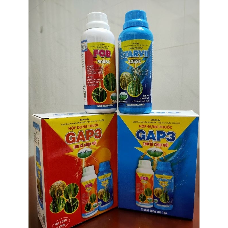 Bộ đôi Gap3 , cty Đồng Tháp sen hồng