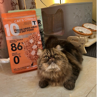 Hạt Cat on mix T( hết quà) hạt cao cấp topping gà viên không độn ngũ cốc hỗ trợ đào thải búi lông đạm 33%