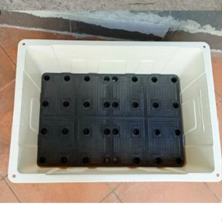 Chậu trồng rau/ khay trồng rau 50l