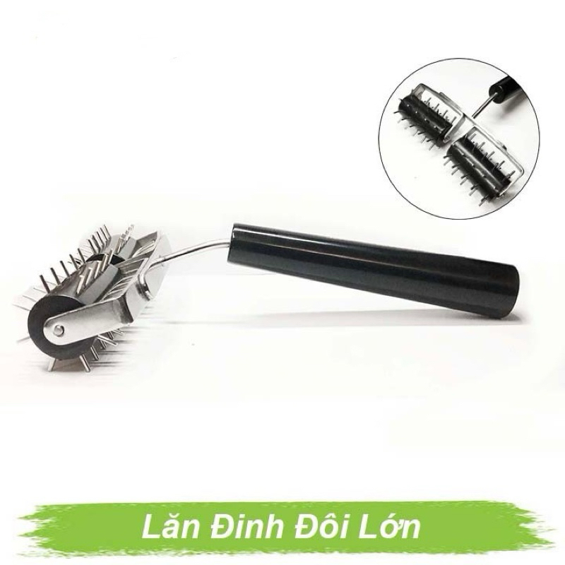 Lăn đinh đôi lớn diện chẩn