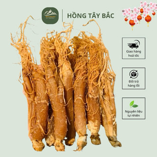   CHÍNH HÃNG  HỒNG SÂM SẤY DẺO   Shop Vùng Cao Lai Châu   