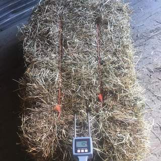 Máy đo độ ẩm hạt nhựa, đất, xà phòng TK-100
