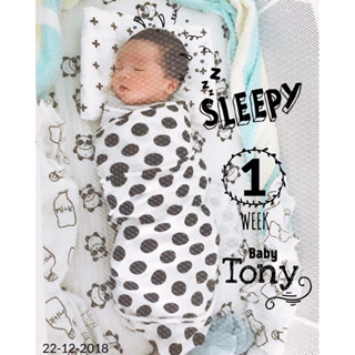  Chính Hãng Quấn Chũn Cocoon giúp bé ngủ ngon   Mua là có quà  