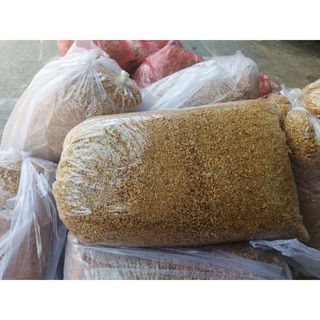 1Kg TỎI PHI LOẠI NGON 130K