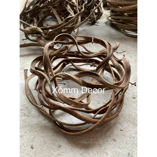  Cuộn dây xoắn rừng tự nhiên  size nhỏ  trang trí decor làm cây leo giả tạo hình chậu hoa chậu lan 