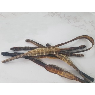 Địa Long (Giun Đất) 500g - Lương Y Thanh Bình