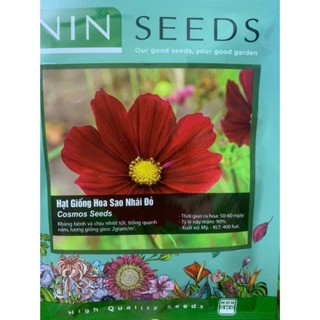 hạt giống hoa sao nhái đỏ nhung nhập khẩu mỹ chính hãng