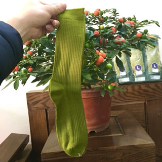  Combo 5 đôi tất mầu xanh co giãn 4 chiều thoáng khi đi 4 mùa cực chiến và tặng 1 đôi lót quế 