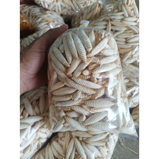 500g bánh con sùng 35k