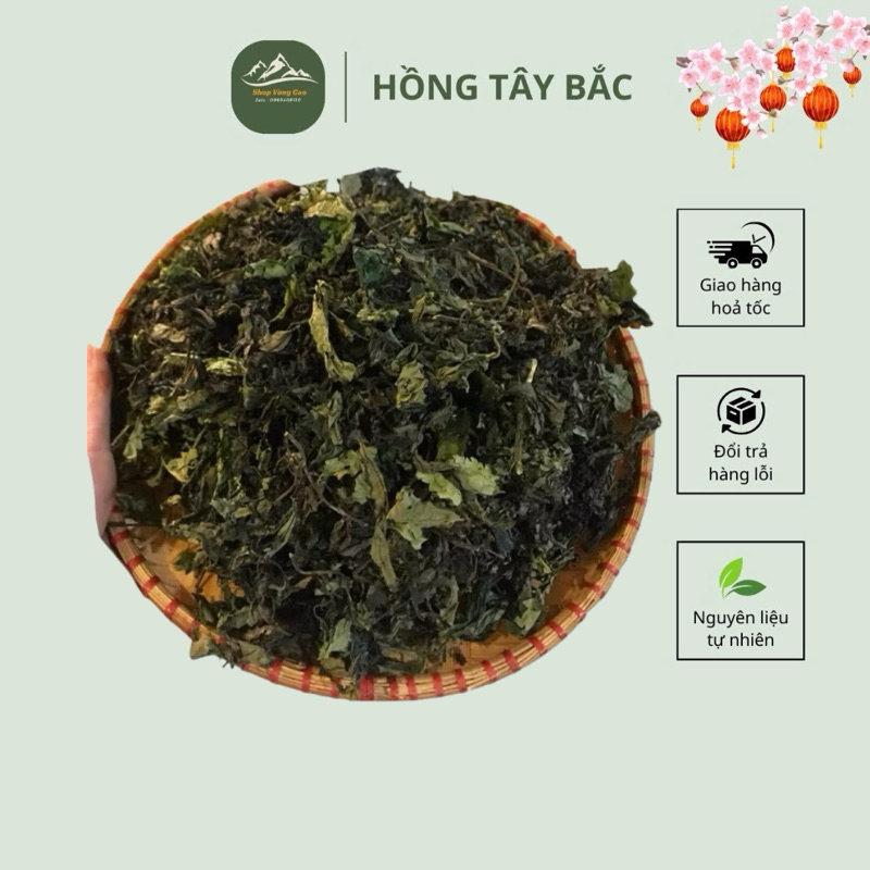 [ FRRE SHIP ] Lá Đắng Rừng Lai Châu ( lá cơm kìa ) (Lá dạ dày )