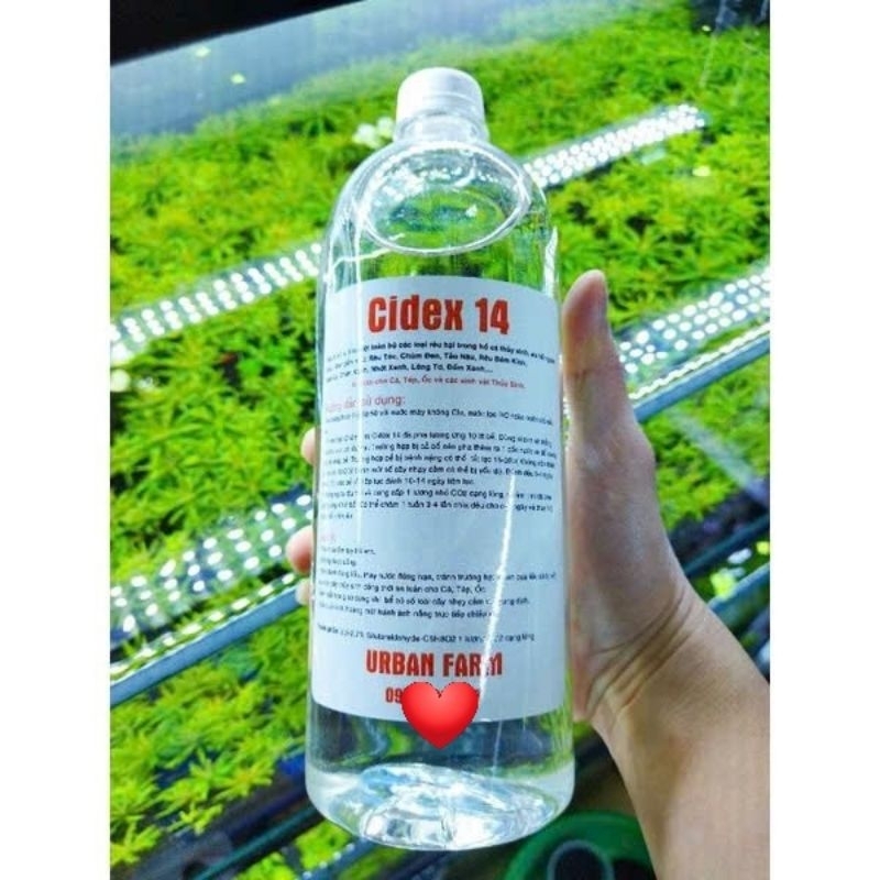 Cidex 14 nguyên chất 500ml - Dung dịch phòng, trị rêu hại bể cá