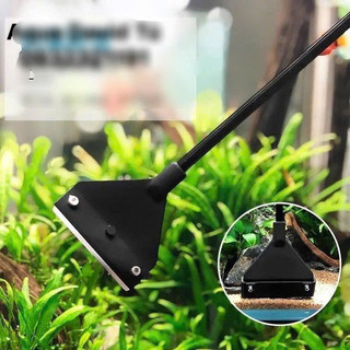 Cạo Rêu Cho Bể Cá Cảnh,Thuỷ Sinh