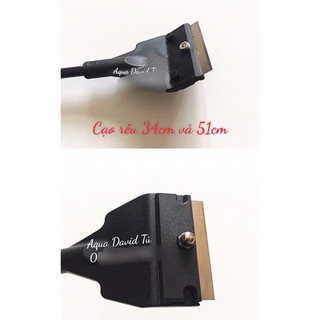Cạo Rêu Cho Bể Cá Cảnh,Thuỷ Sinh